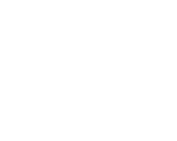 Hyundai Jean Lain